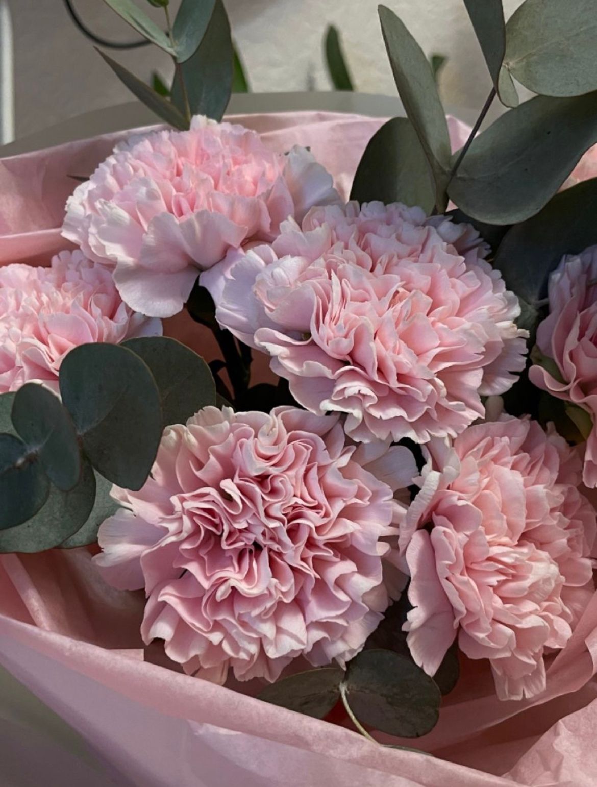 Brisa rosa - Imagen 3